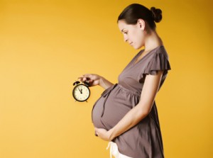 pregnancy7