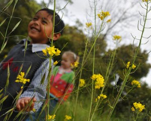 children nature 3